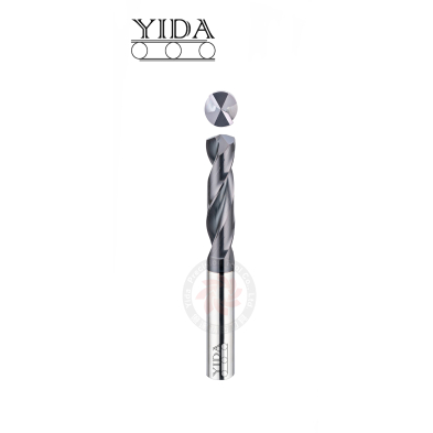 2 Flutes Carbide Drill (3D) 