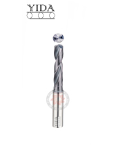 2 Flutes Carbide Coolant Drill (3D)